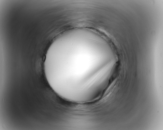 X0000088131265200706041941