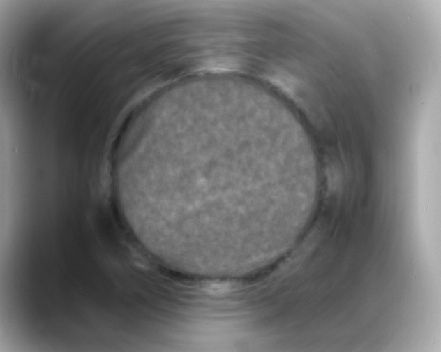 X0000088131266200706041941