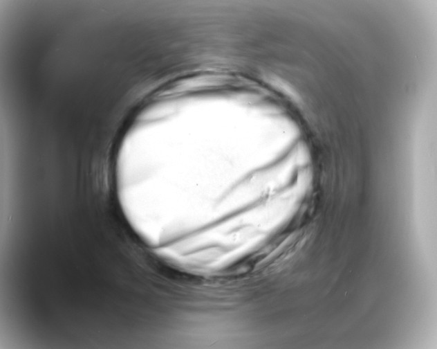 X0000088131267200706041941