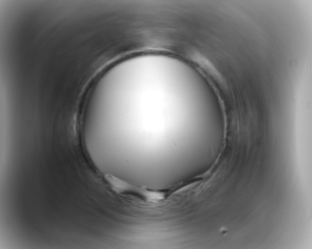 X0000088131268200706041941