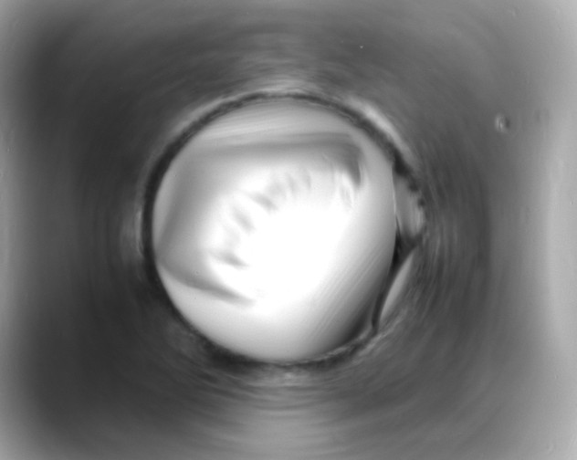 X0000088131270200706041941