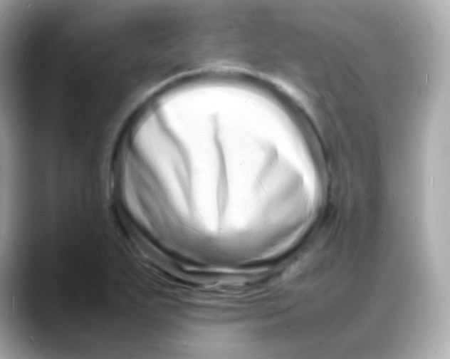 X0000088131271200706041941