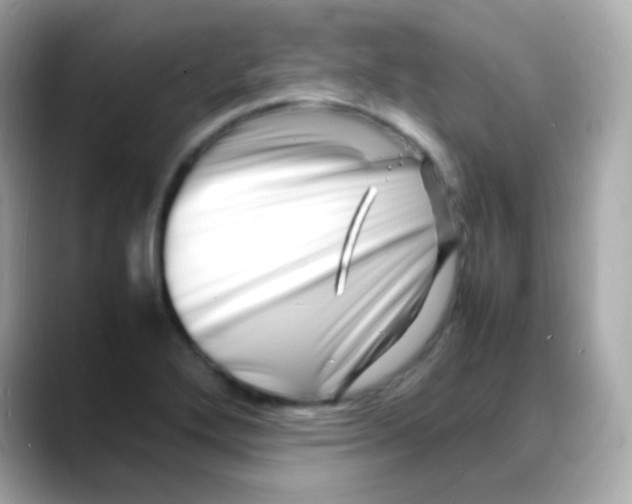 X0000088131272200706041941