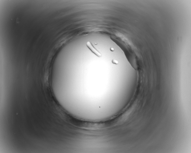 X0000088131273200706041941