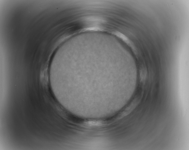 X0000088131274200706041941