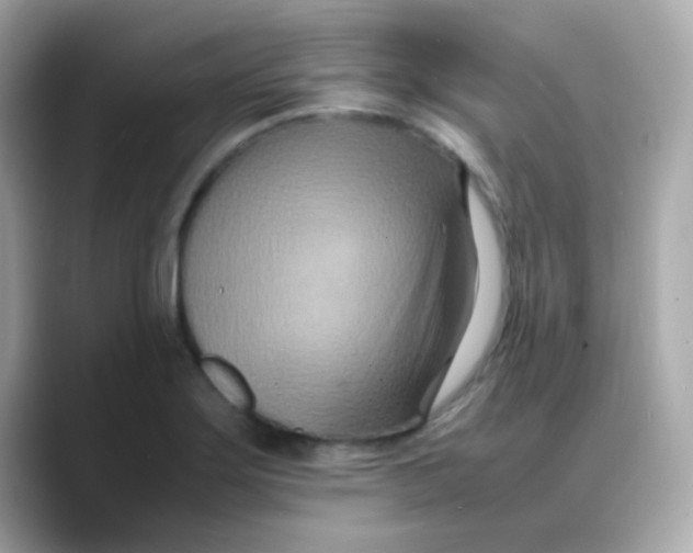 X0000088131275200706041941