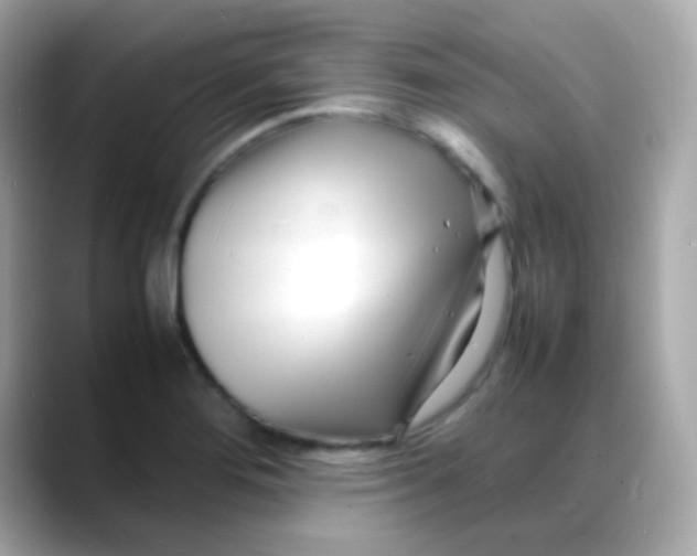 X0000088131276200706041941