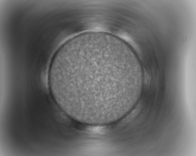 X0000088131278200706041941