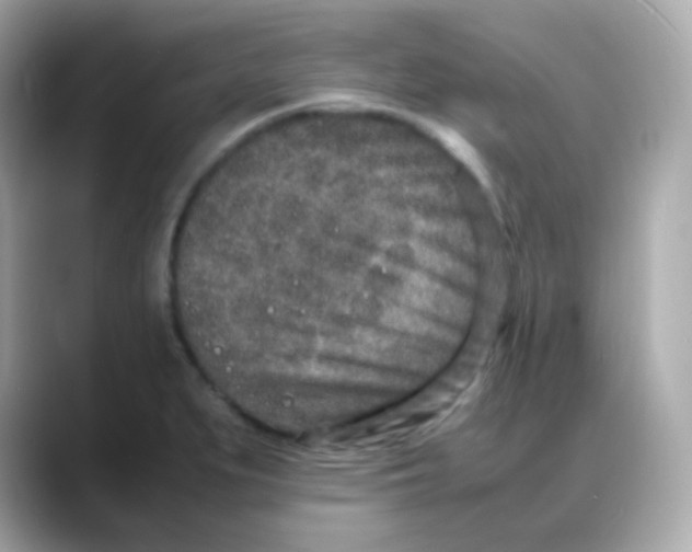 X0000088131279200706041941