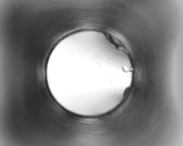 X0000088131280200706041941