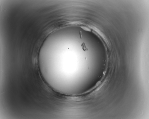 X0000088131281200706041941