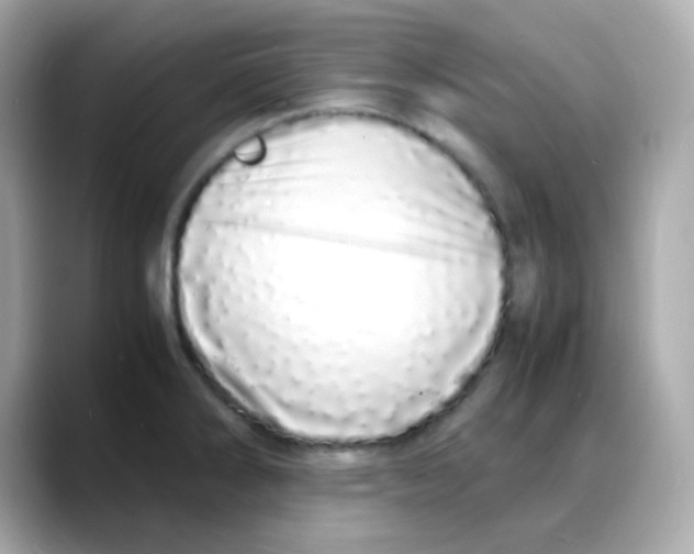 X0000088131286200706041941