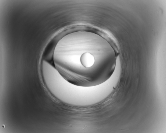 X0000088131287200706041941