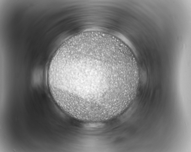 X0000088131290200706041941