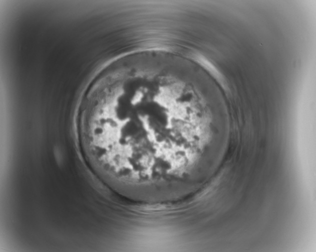 X0000088131291200706041941