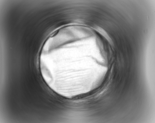 X0000088131292200706041941