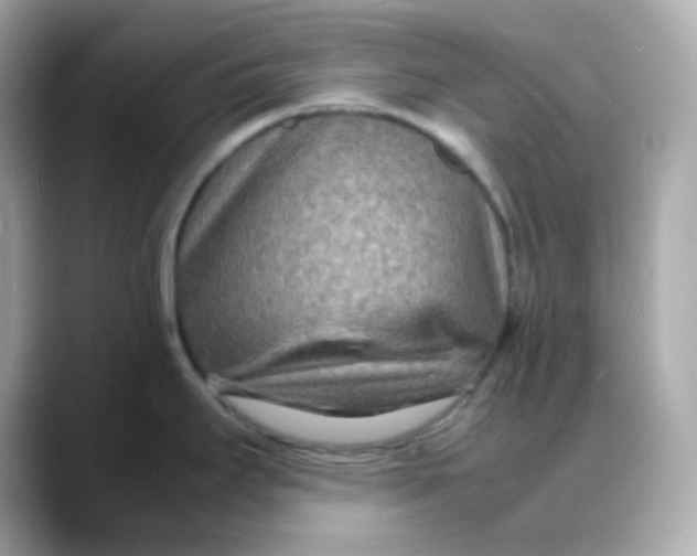 X0000088131295200706041941