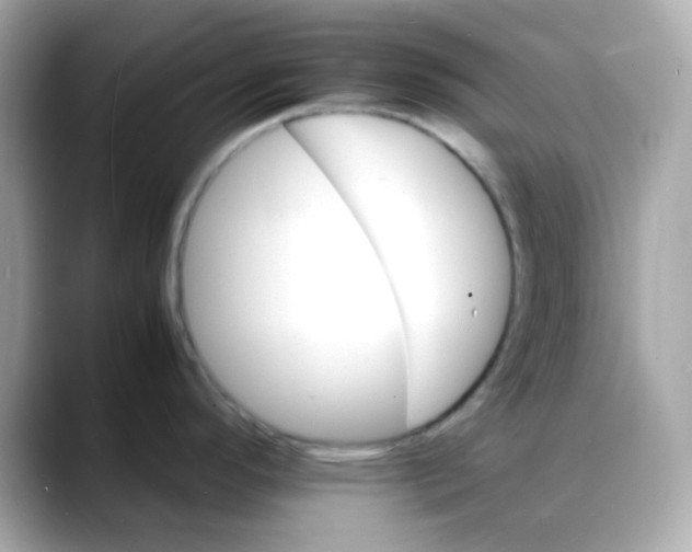 X0000088131296200706041941