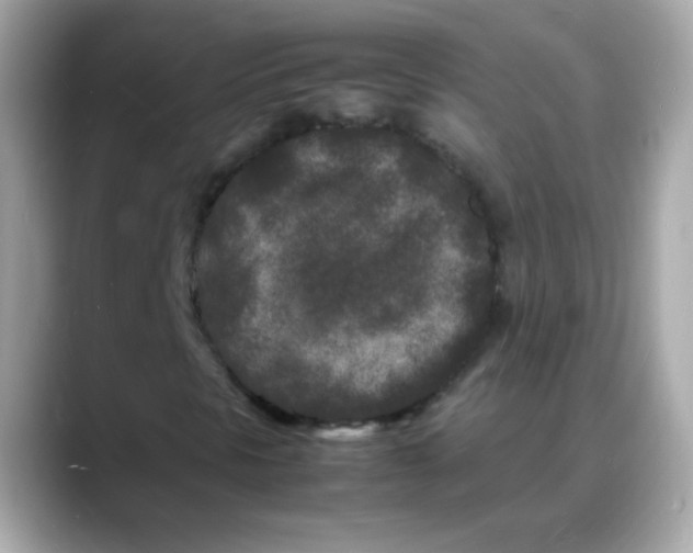 X0000088131297200706041940