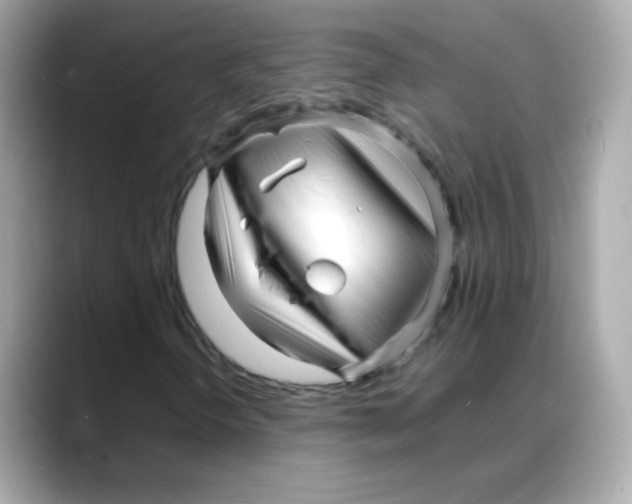 X0000088131298200706041940