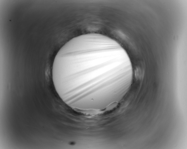 X0000088131299200706041940