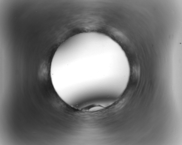 X0000088131300200706041940