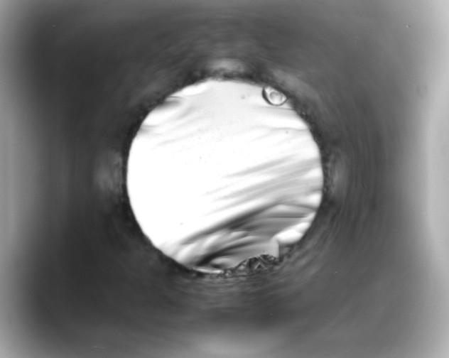 X0000088131301200706041940