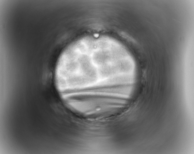 X0000088131302200706041940