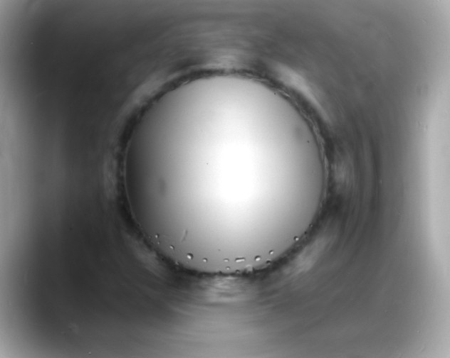 X0000088131304200706041940