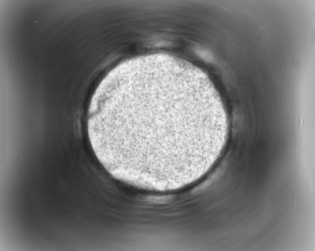 X0000088131305200706041940