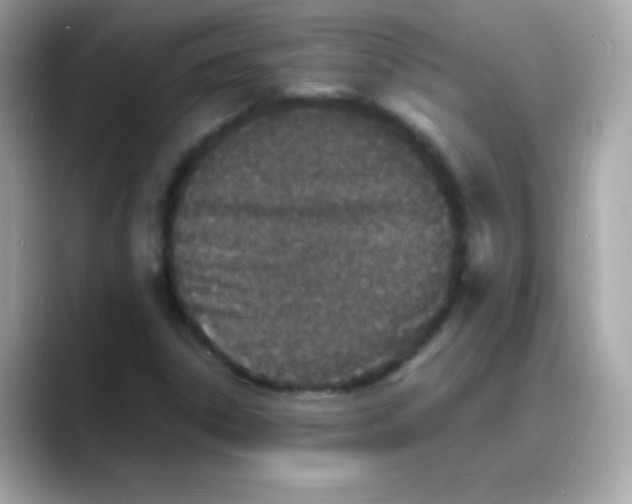 X0000088131306200706041940