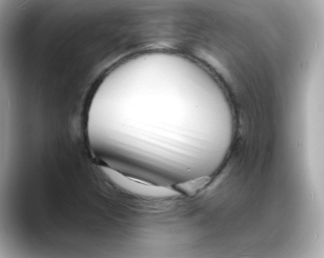 X0000088131308200706041940