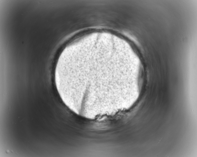 X0000088131311200706041940