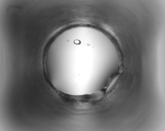 X0000088131312200706041940