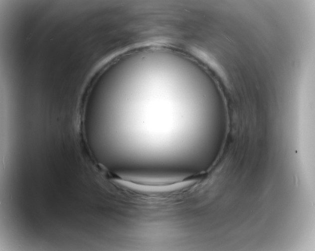 X0000088131316200706041940