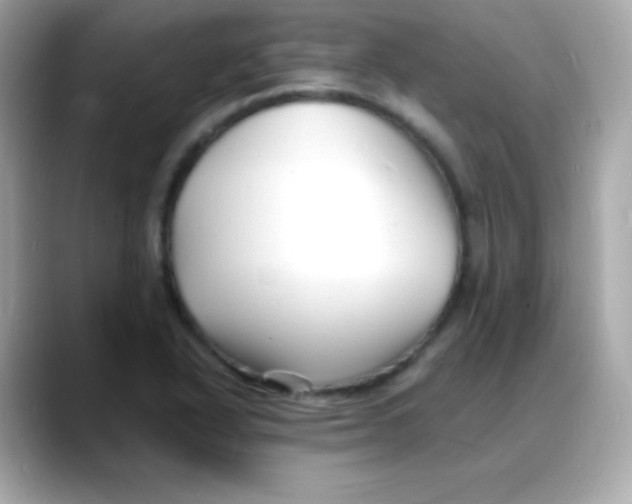 X0000088131318200706041940