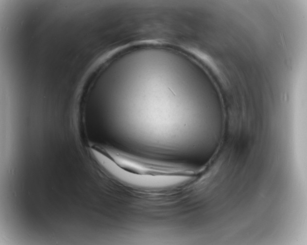 X0000088131319200706041940