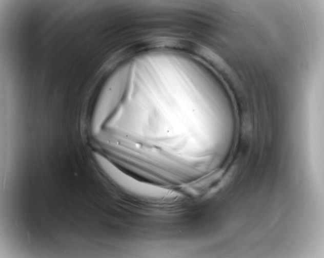 X0000088131321200706041940