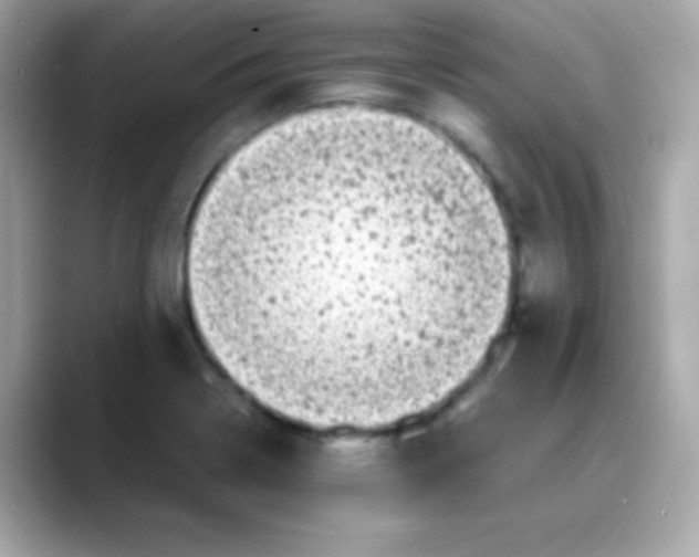 X0000088131322200706041940