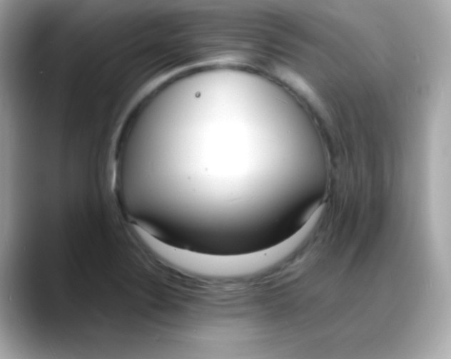 X0000088131324200706041941