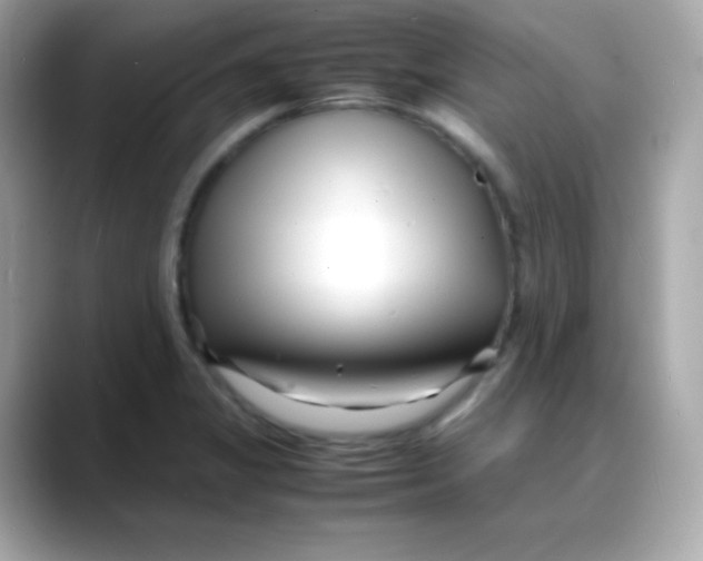 X0000088131325200706041941