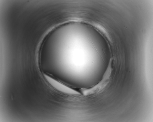 X0000088131326200706041941