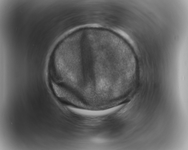 X0000088131327200706041941