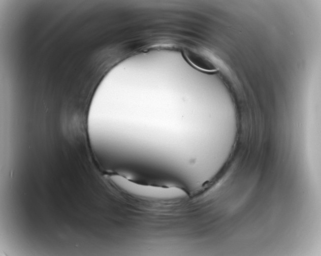 X0000088131329200706041941