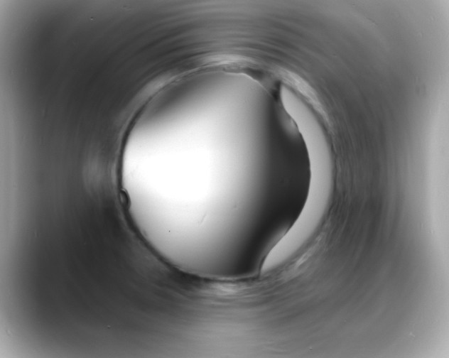 X0000088131330200706041941