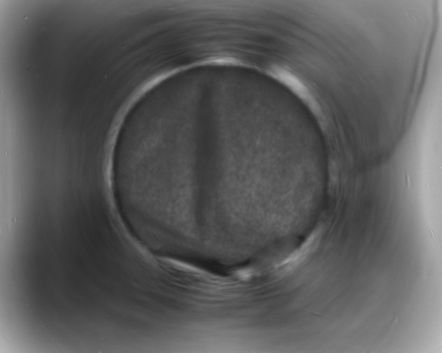 X0000088131331200706041941