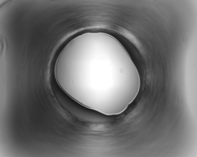 X0000088131332200706041941