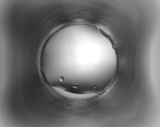 X0000088131333200706041941