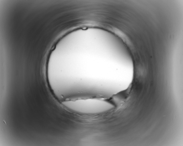 X0000088131334200706041941