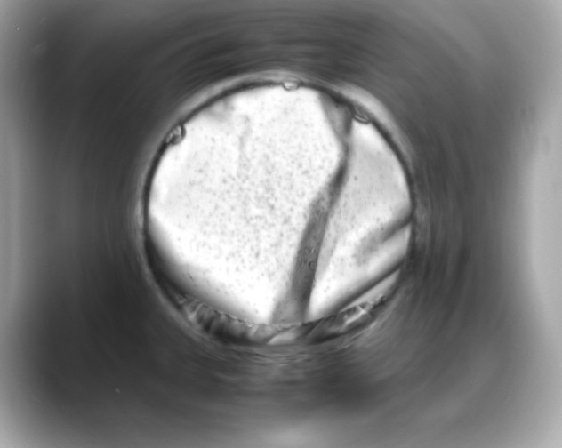 X0000088131335200706041941